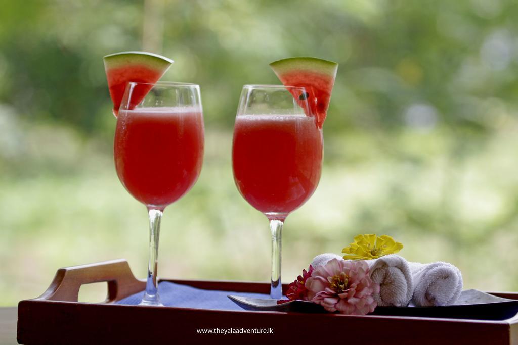 The Yala Adventure Hotel Tissamaharama Luaran gambar