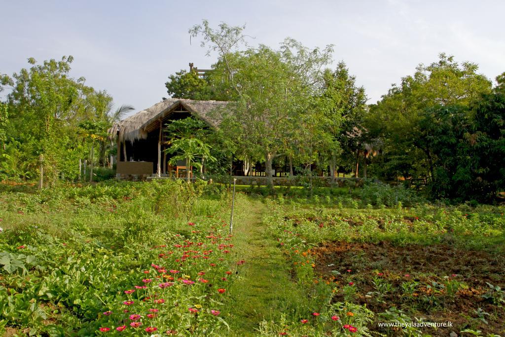 The Yala Adventure Hotel Tissamaharama Luaran gambar