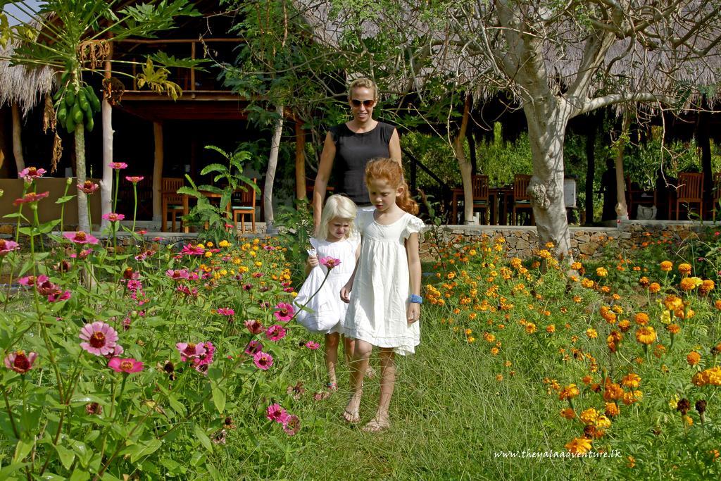 The Yala Adventure Hotel Tissamaharama Luaran gambar