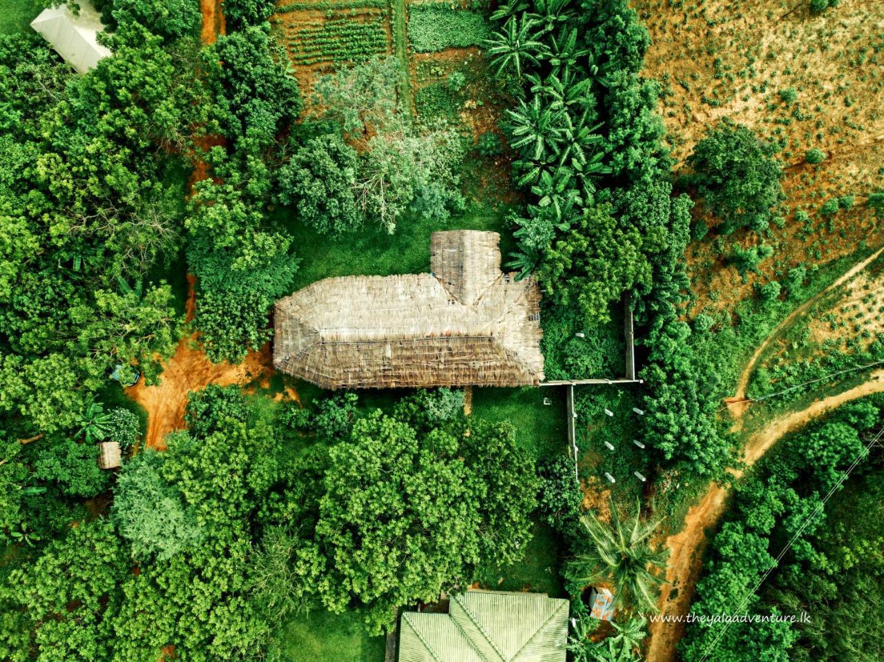 The Yala Adventure Hotel Tissamaharama Luaran gambar