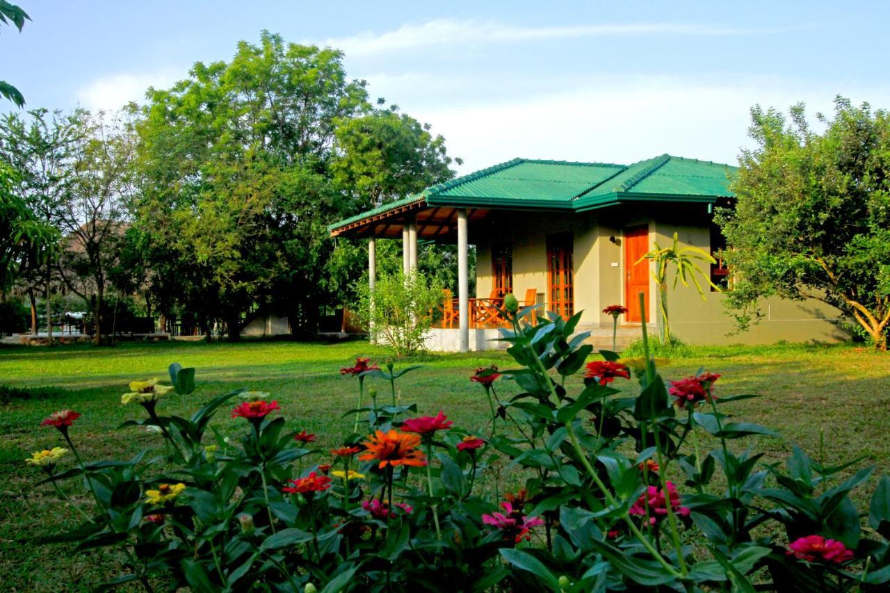 The Yala Adventure Hotel Tissamaharama Luaran gambar