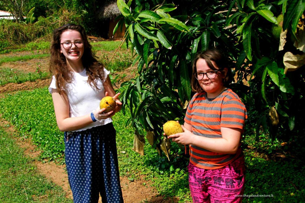 The Yala Adventure Hotel Tissamaharama Luaran gambar